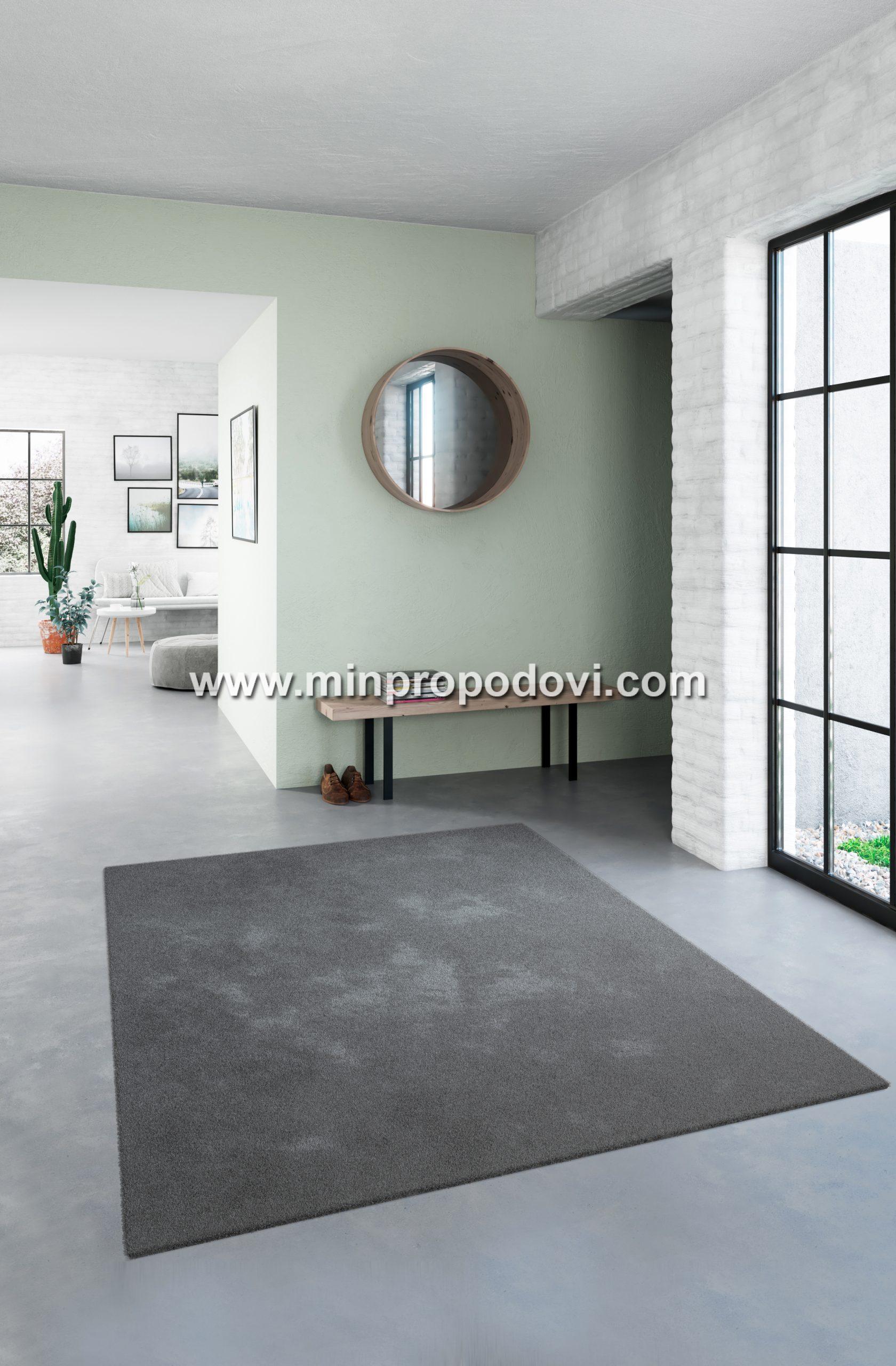 71301-100.160230.5_RS006