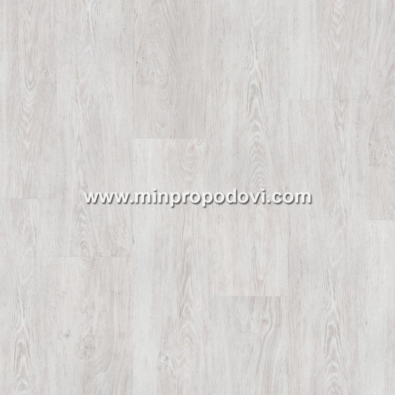 PROGRESSIVE HAUS ERIC