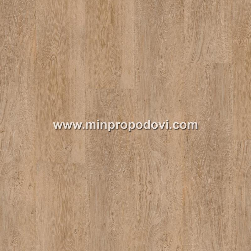 PROGRESSIVE HOUSE DARIN