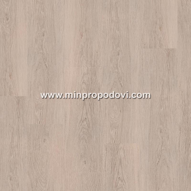 PROGRESSIVE HOUSE MICHAEL