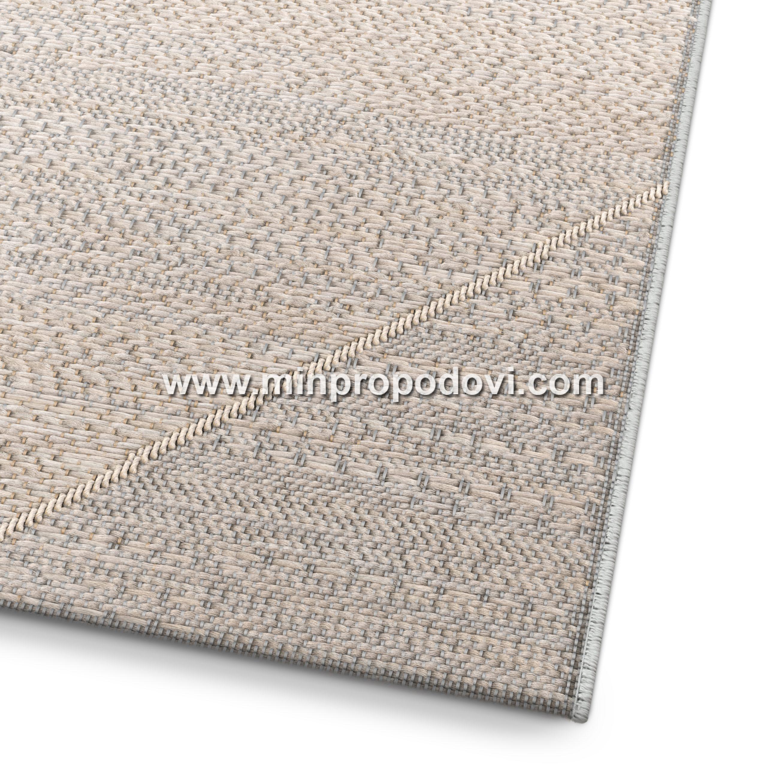 29501-055.160230.1_CP001