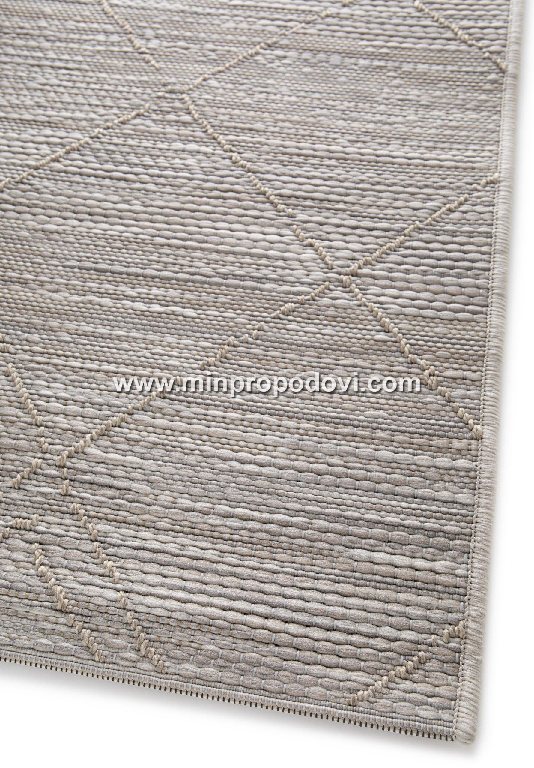 29513-055.16230.1_CP001